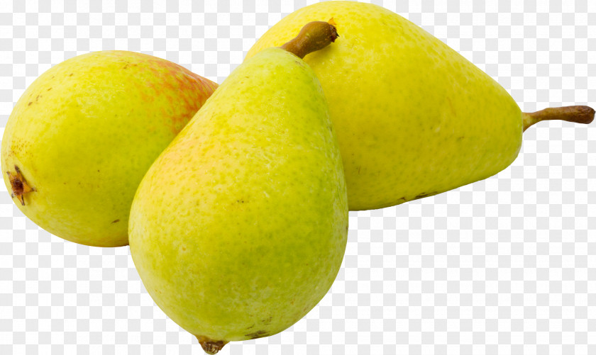 Ataulfo Fruit Tree Fig PNG