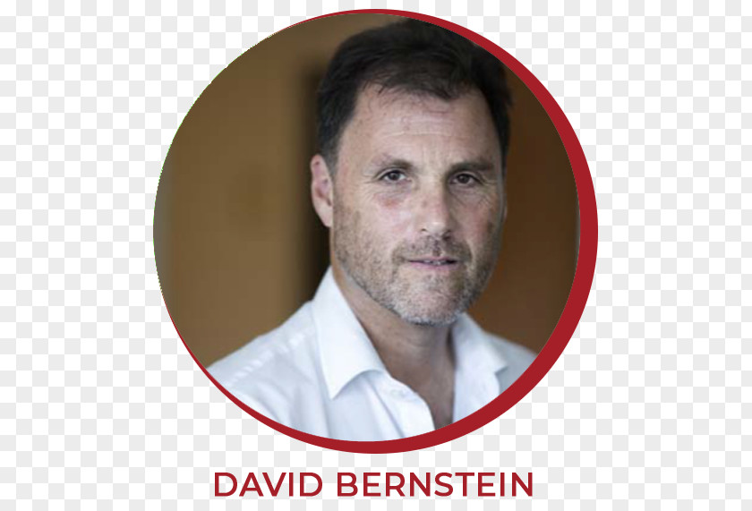 David L Bernstein P. Schema Therapy Professor Psychotherapist PNG
