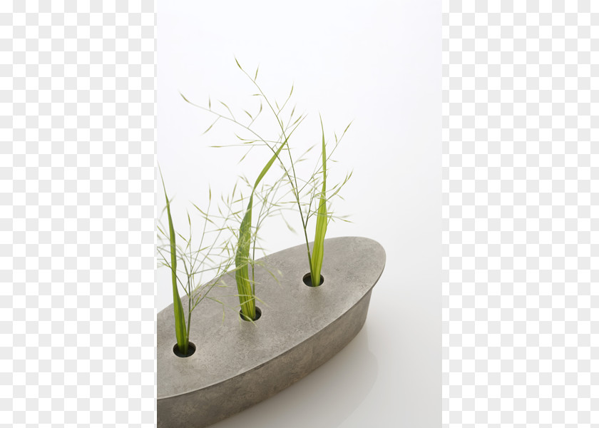 Design Grasses Flowerpot Ikebana PNG