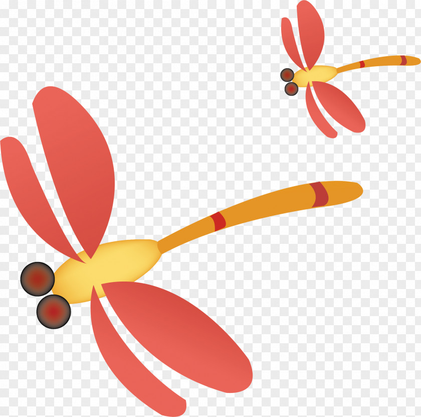 Dragonfly Vector Material Insect Wing Clip Art PNG