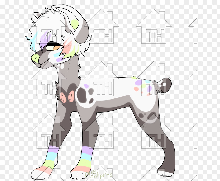 Horse Cat Dog Clip Art PNG