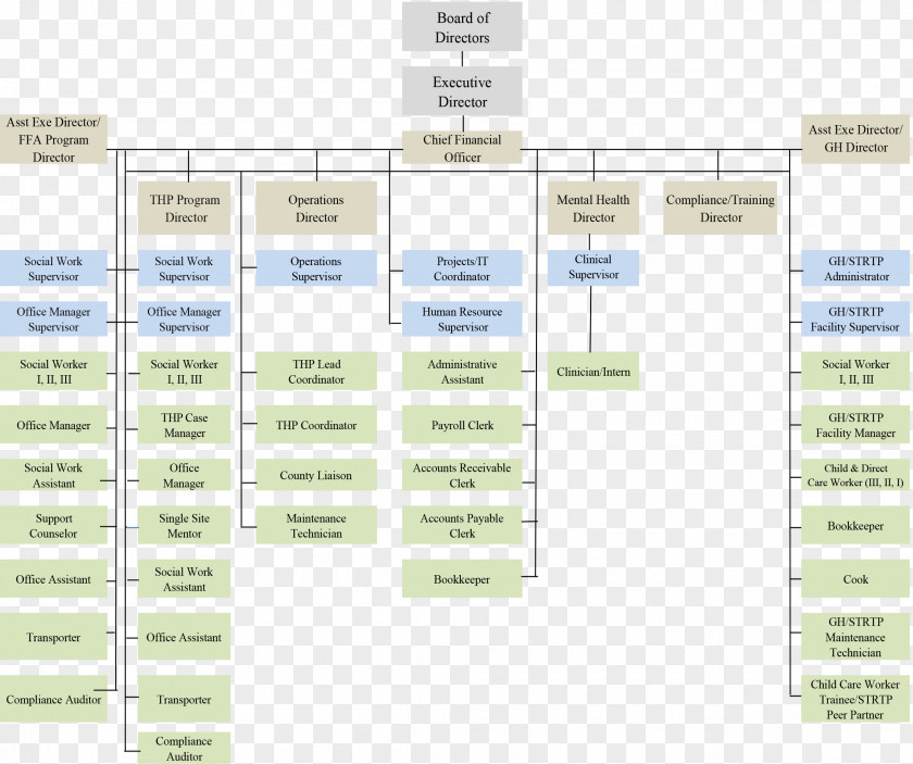 Organization Chart Organizational Diagram Brand PNG
