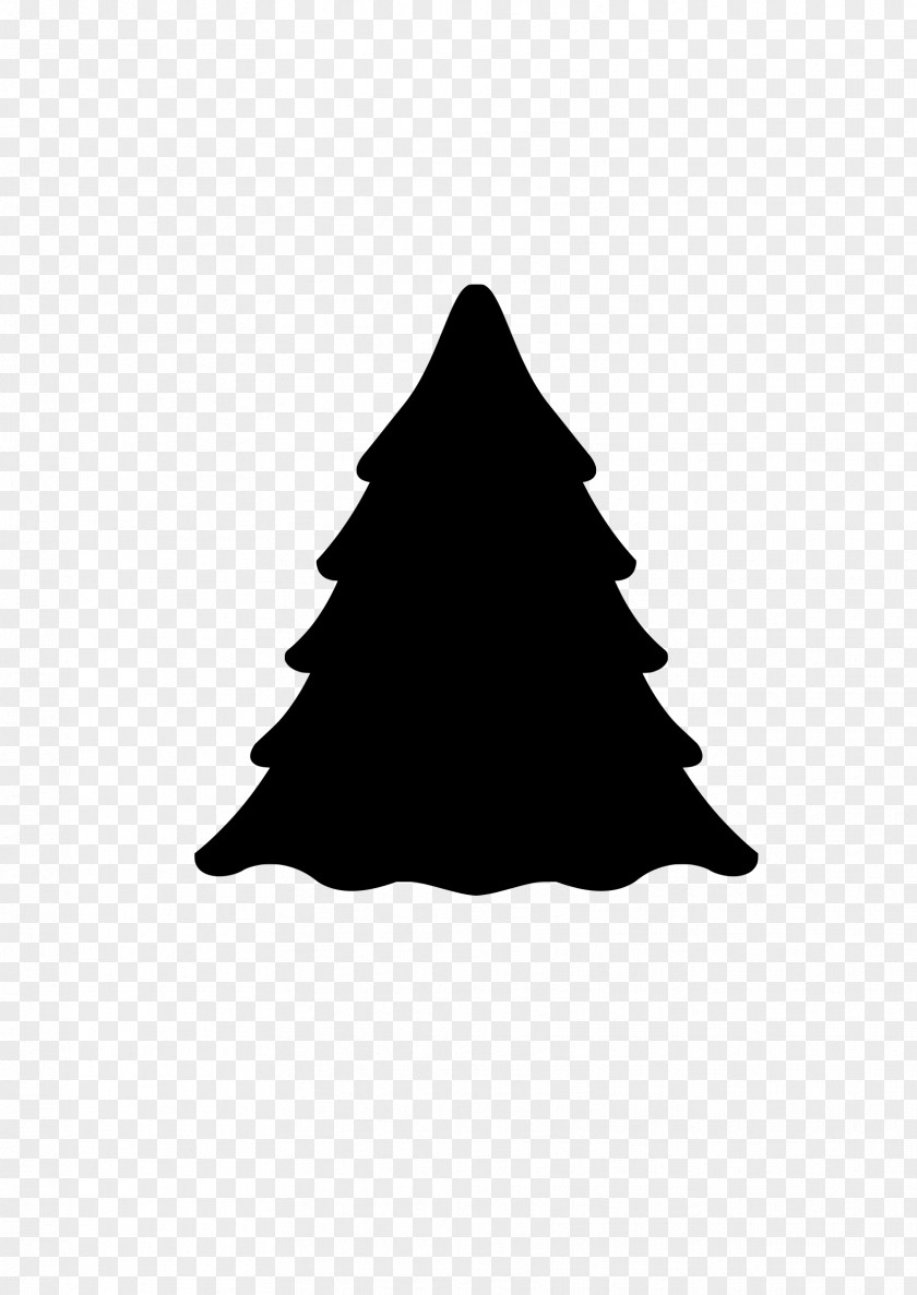 Tree Silhouette Evergreen Pine Norway Spruce Fir PNG