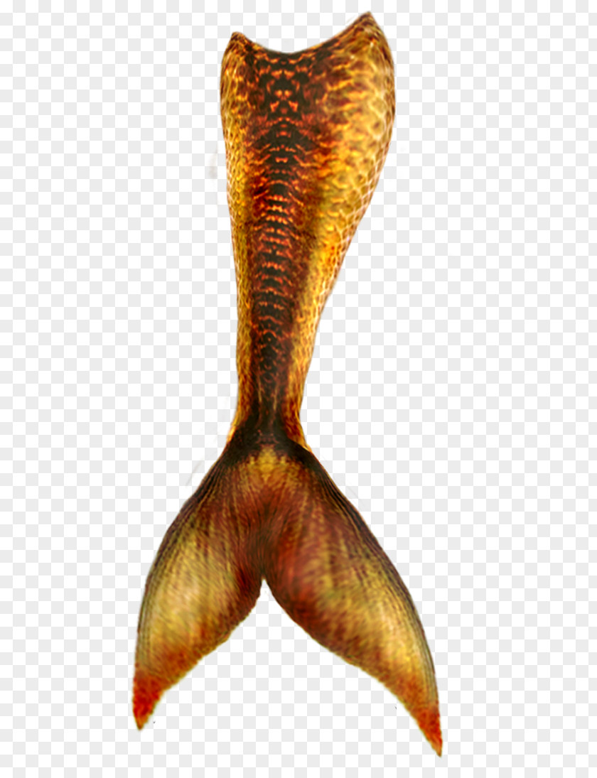 YELLOW Mermaid Merman Clip Art PNG