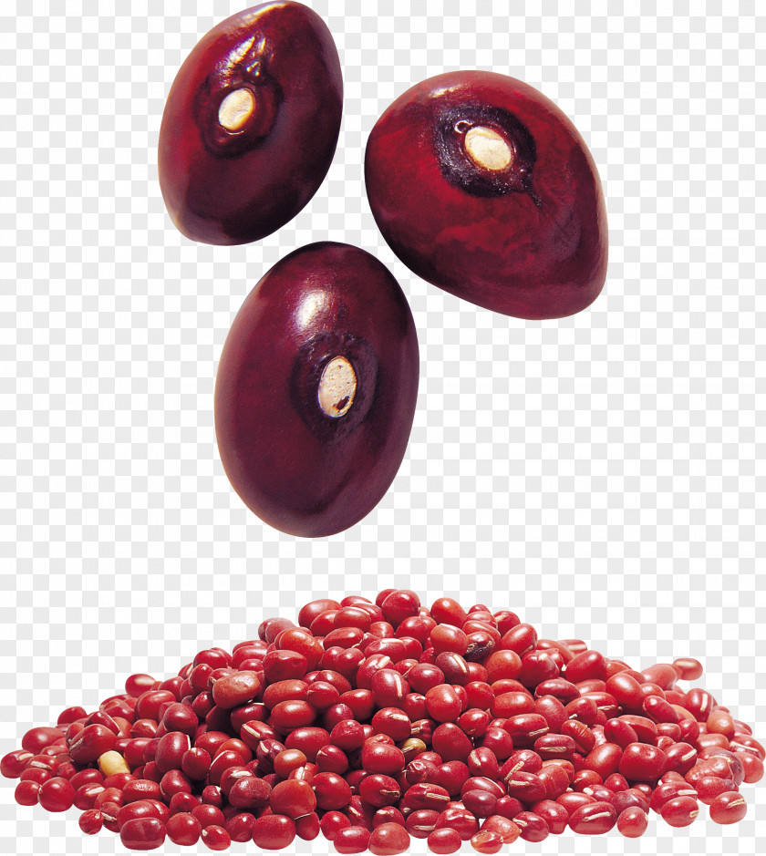 Beans Common Bean Misu Pea Food PNG