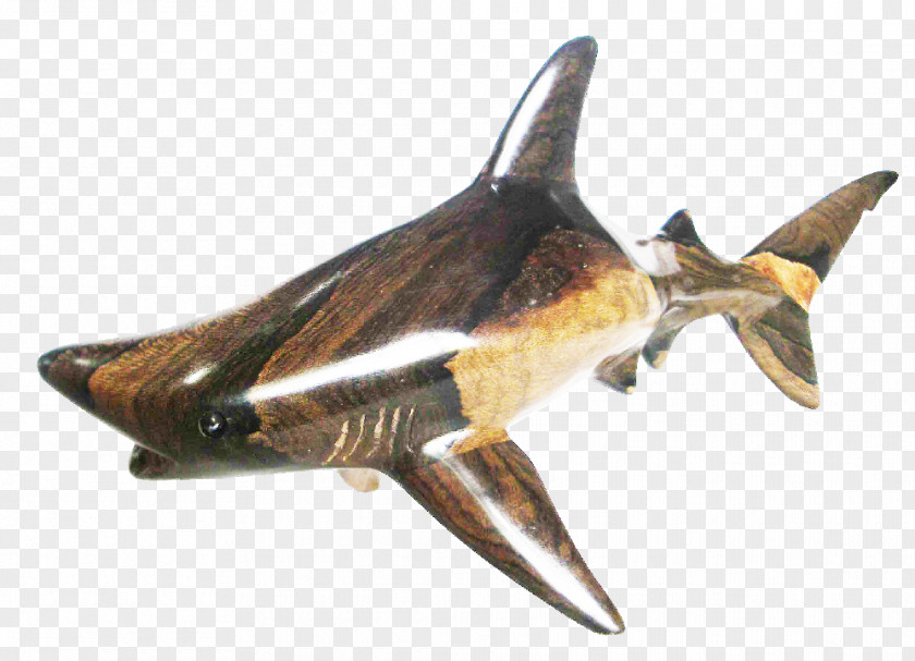 Blacktip Shark Great White Reef Requiem Sharks PNG