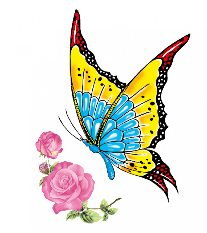Butterfly Monarch Brush-footed Butterflies Insect Clip Art PNG