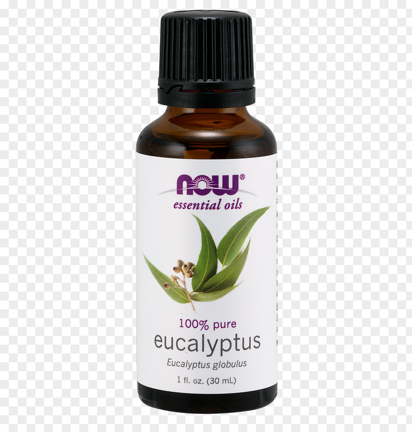 Eucalyptus Oil Cedar Essential Orange NOW Foods PNG