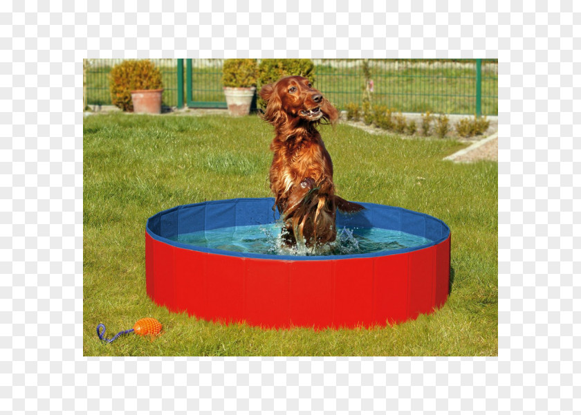 Flamingo Pool Dog Swimming Bathtub Hot Tub Puppy PNG