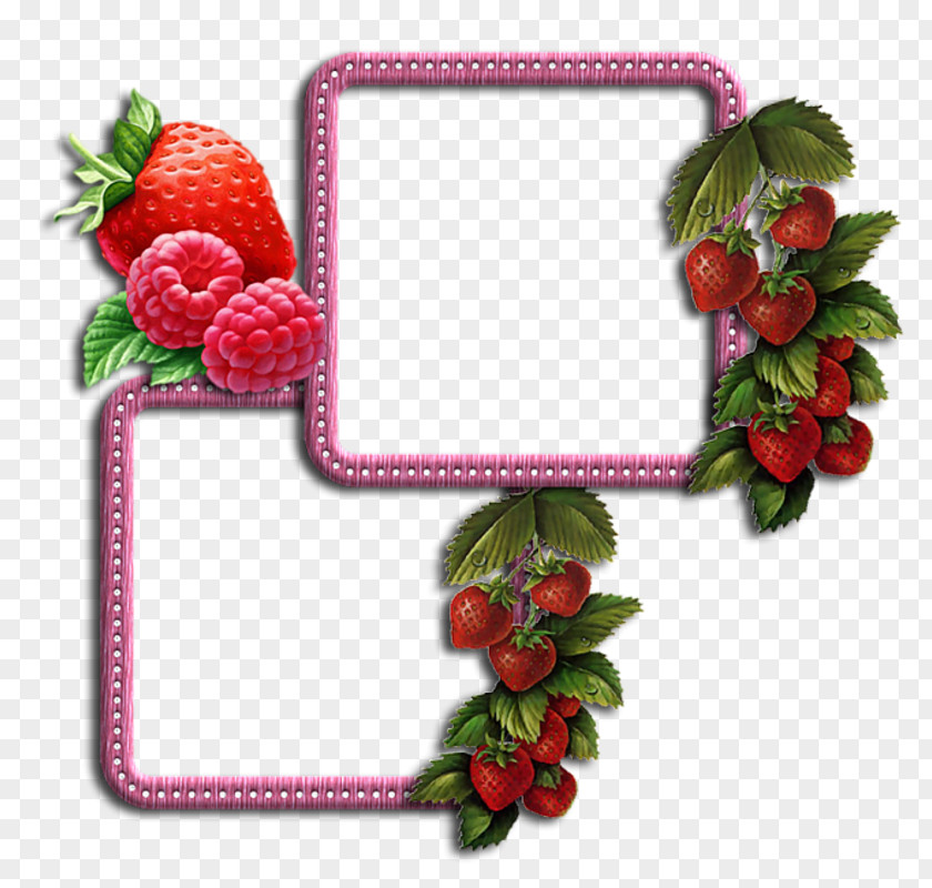 Strawberry Image Il Y A Plus ! Picture Frames Fruit PNG
