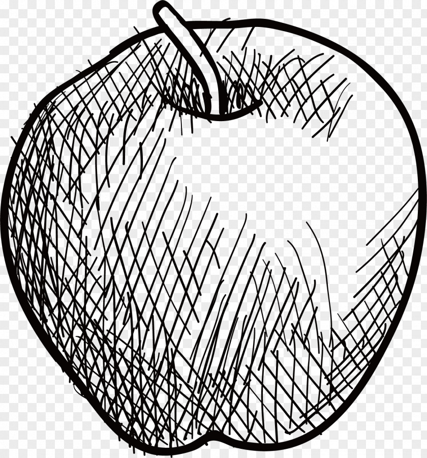 Vector Sketch Apple Drawing PNG