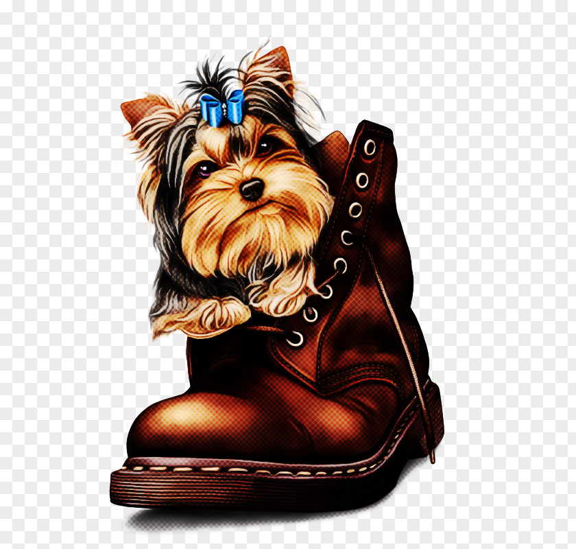 Yorkshire Terrier Puppy The Dress Shop Companion Dog Horse PNG