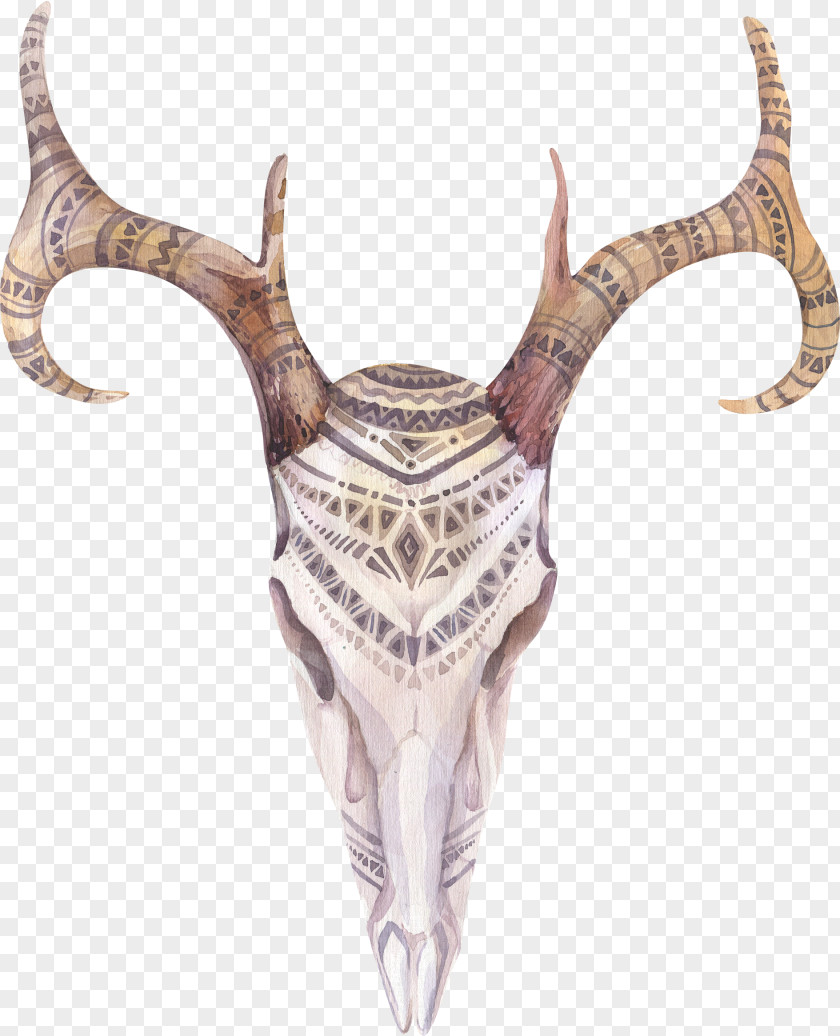 Brown Deer Statue Antler Bohemianism Skull Illustration PNG