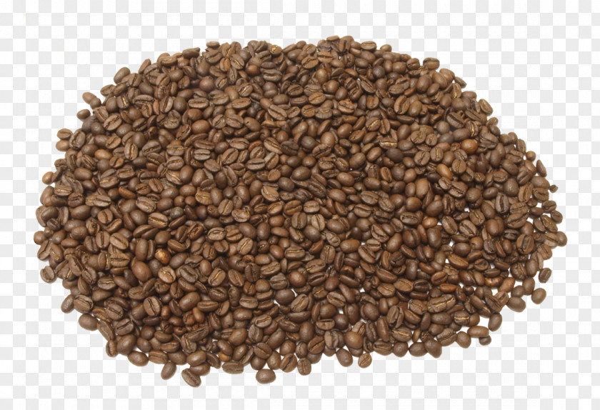 Coffe Coffee White Tea Masala Chai Green PNG