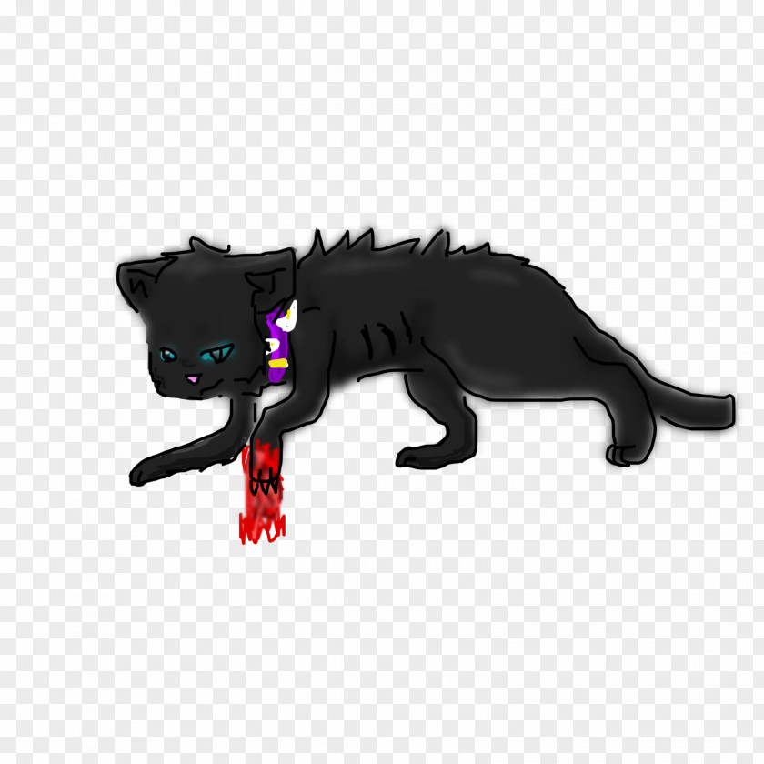 Erin Hunter Cat Snout PNG