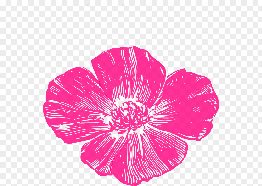 Hot Pink Poppies Bakery & Café Remembrance Poppy Clip Art PNG