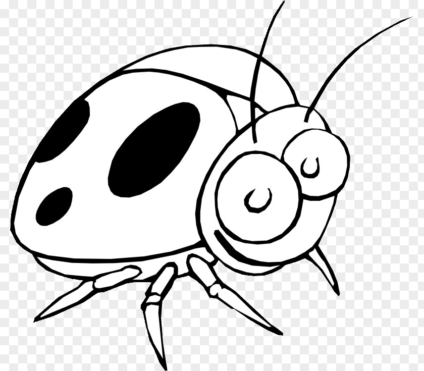 Ladybug Cartoon Clip Art Little Drawing Ladybird Beetle Black And White PNG