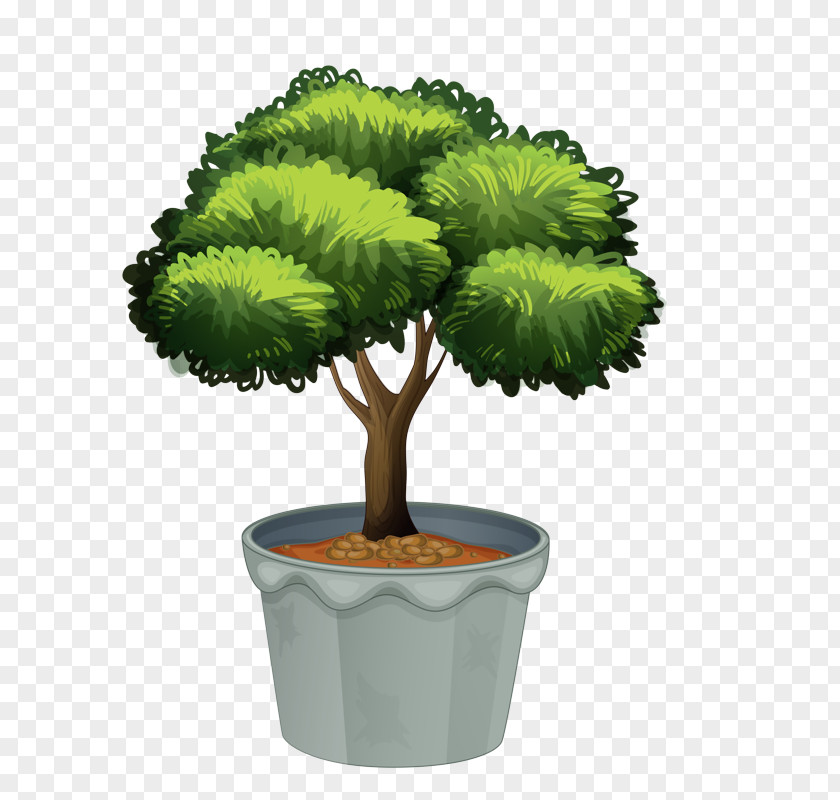 Plant Stem Grass Flowerpot Tree Green Houseplant PNG