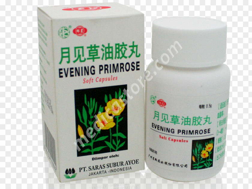 Udang Common Evening-primrose Product Herb Plants Evening-primroses PNG