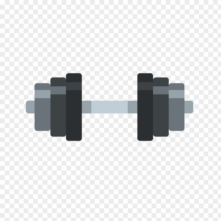 Gray Dumbbell Euclidean Vector Bodybuilding Physical Exercise Illustration PNG