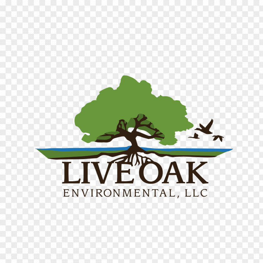 Live Oak Environmental Commercial Waste Management Landfill PNG