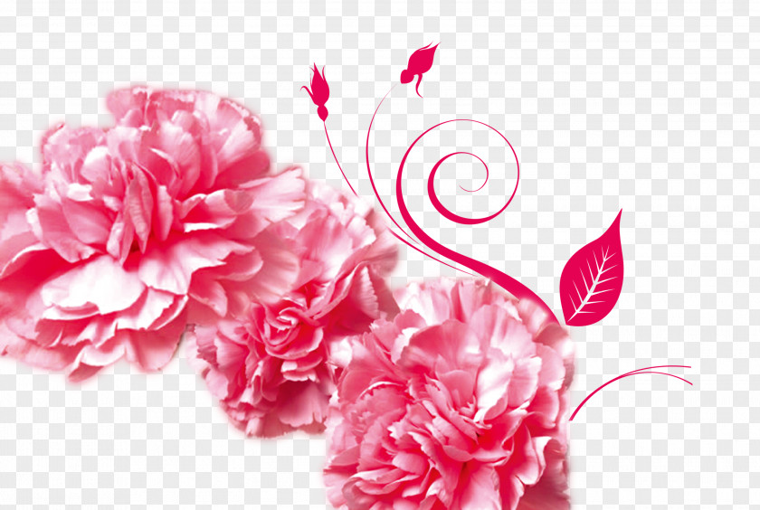 Red Peony Mothers Day Gratitude Advertising Carnation PNG