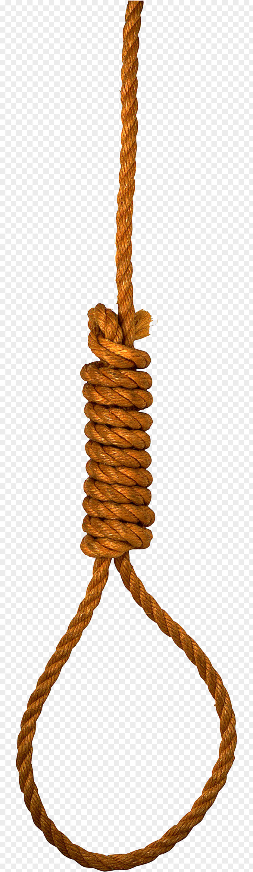 Rope PNG clipart PNG