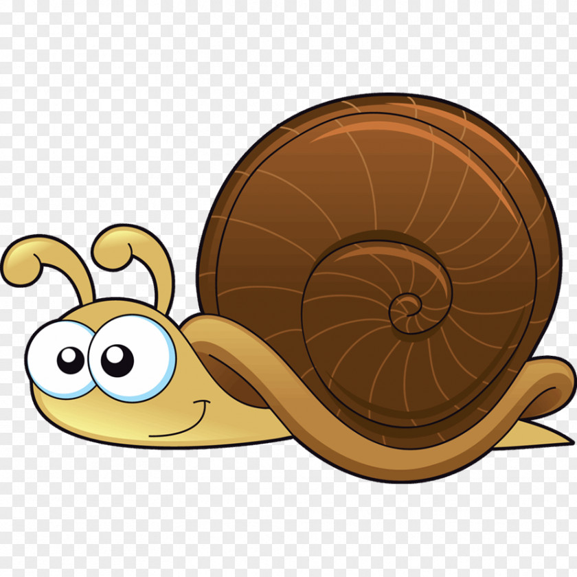 Schnecke Clipart Drawing Snails And Slugs Clip Art PNG