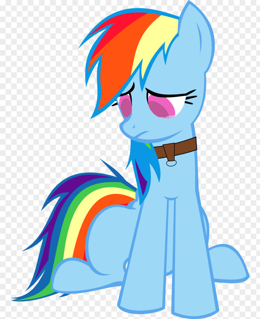 Blind Vector Rainbow Dash Pony Rarity Twilight Sparkle Image PNG