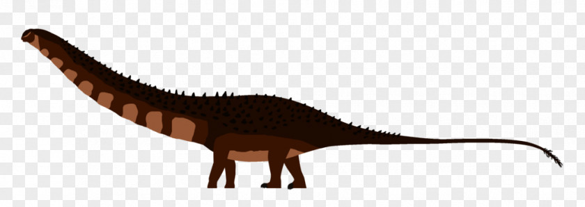 Dinosaur Supersaurus Dinheirosaurus Sauropods Velociraptor PNG