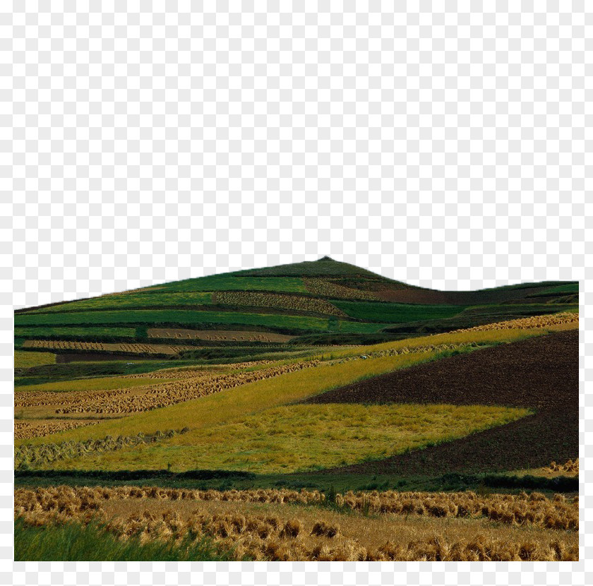The Farmland On Hillside Hill Euclidean Vector Grade PNG
