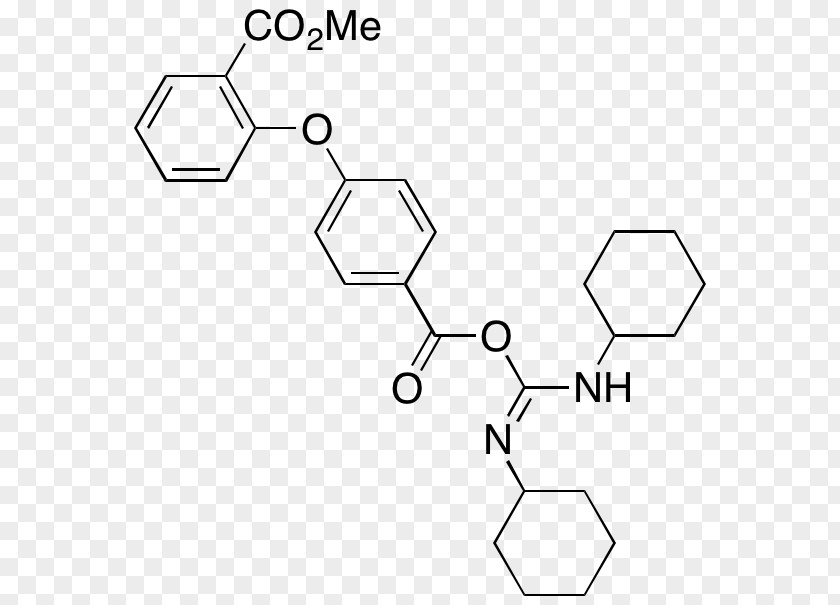 Benzoic Anhydride Nicotinamide Adenine Dinucleotide Brand /m/02csf PNG