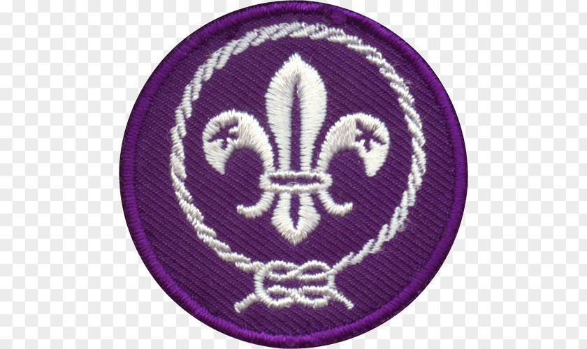 Boy Scout World Jamboree National Capital Area Council Emblem Scouts Of America Organization The Movement PNG