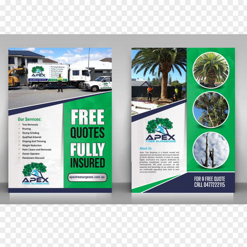 Elegant Flyer Display Advertising Brand Multimedia PNG