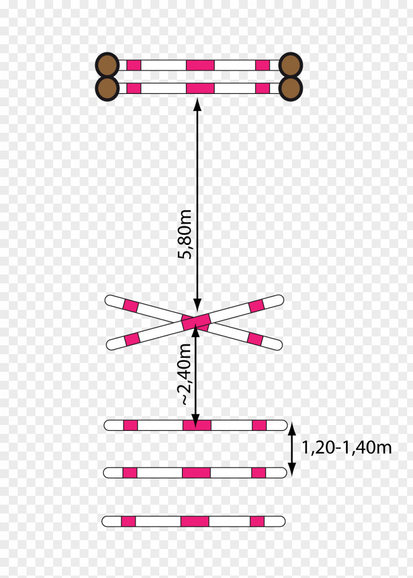 Horse Jumping Obstacles Gallop Show PNG
