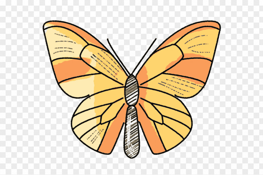 Motiv Satchel Monarch Butterfly Scout Borussia Dortmund Child PNG