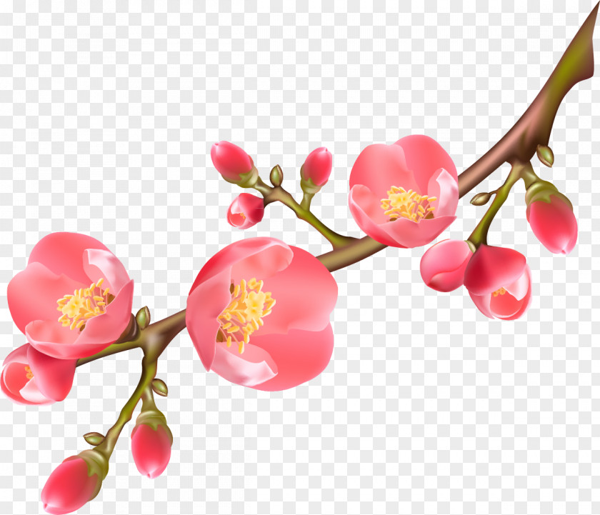 Plum Paper Flower PNG