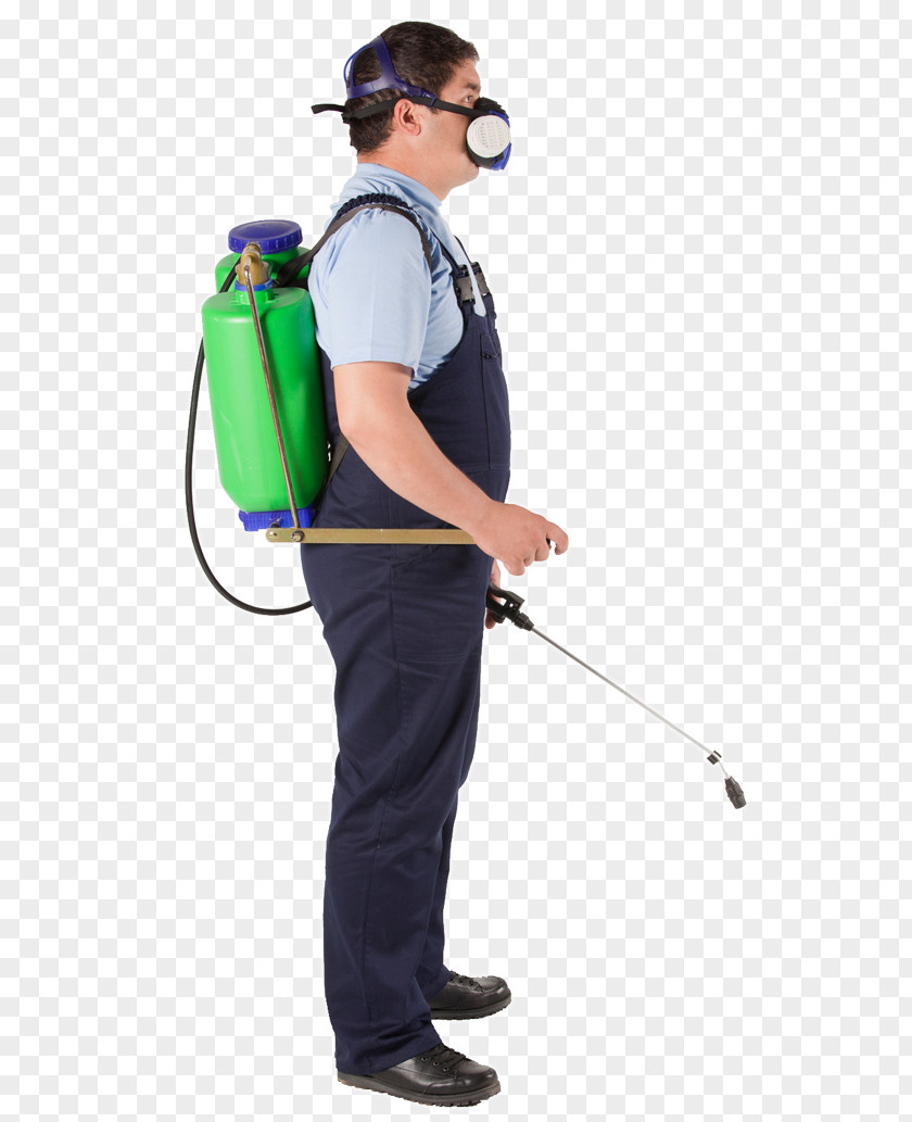 Carpet Pest Control Cleaning Steam PNG