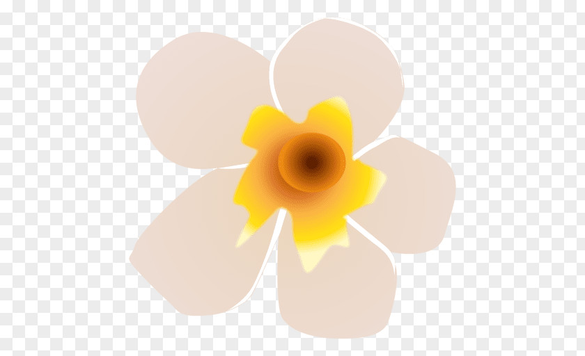 Design Petal PNG