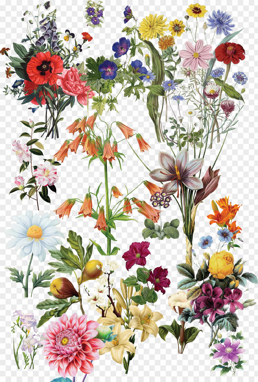 Flowers PNG