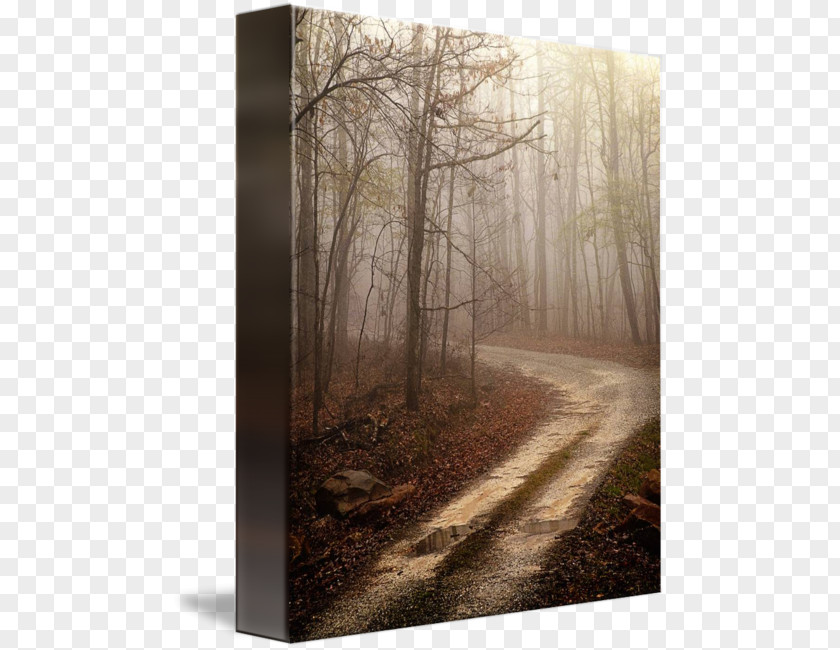 Journey Road Canvas Print Printing Work Of Art /m/083vt PNG