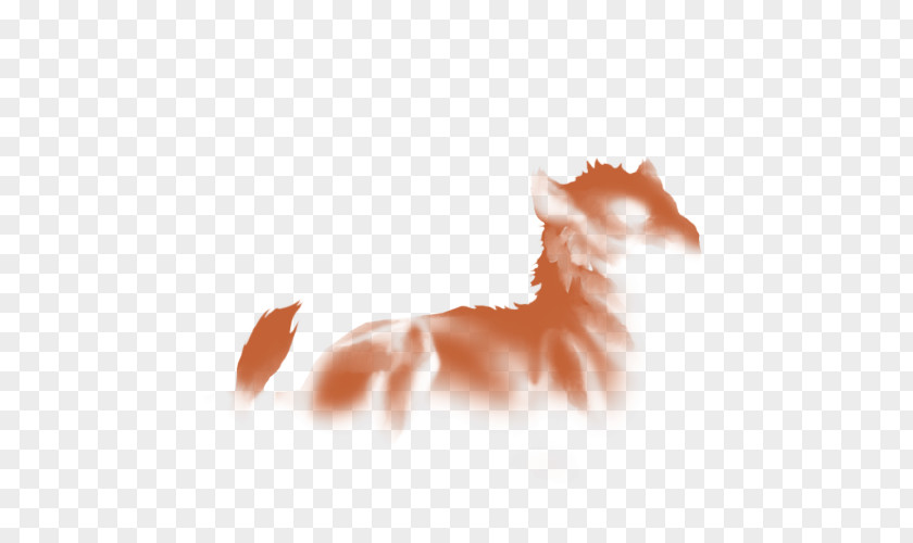 Lion Whiskers Mane Agility Endurance PNG