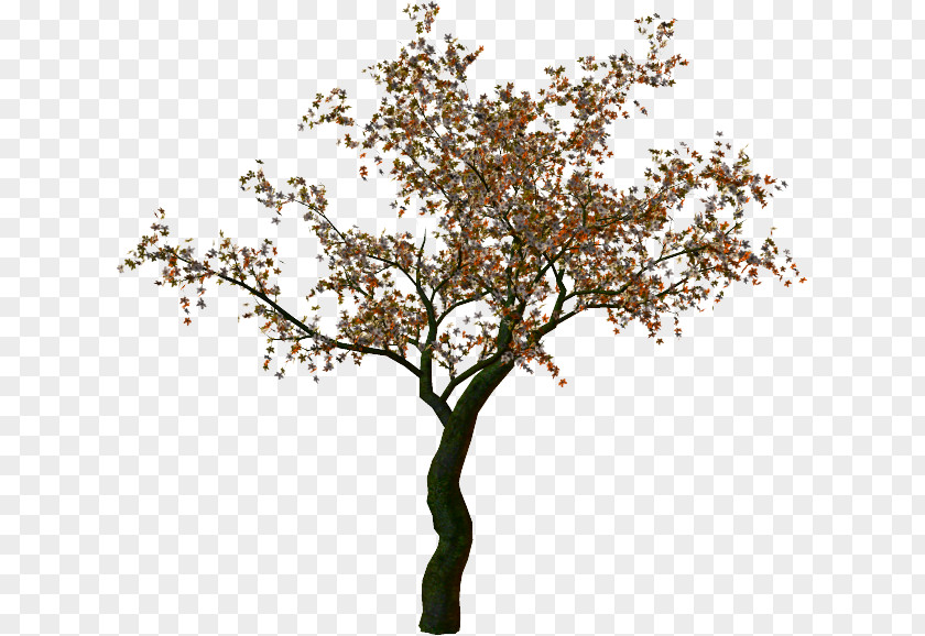 Tree Clip Art PNG