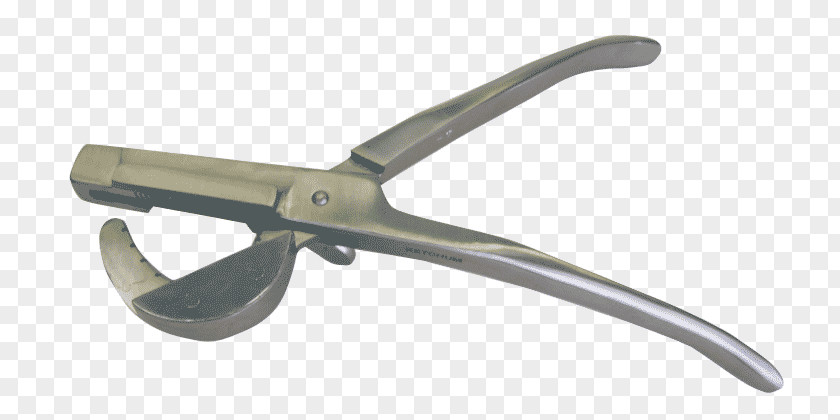Poultry And Livestock Diagonal Pliers Nipper Angle PNG