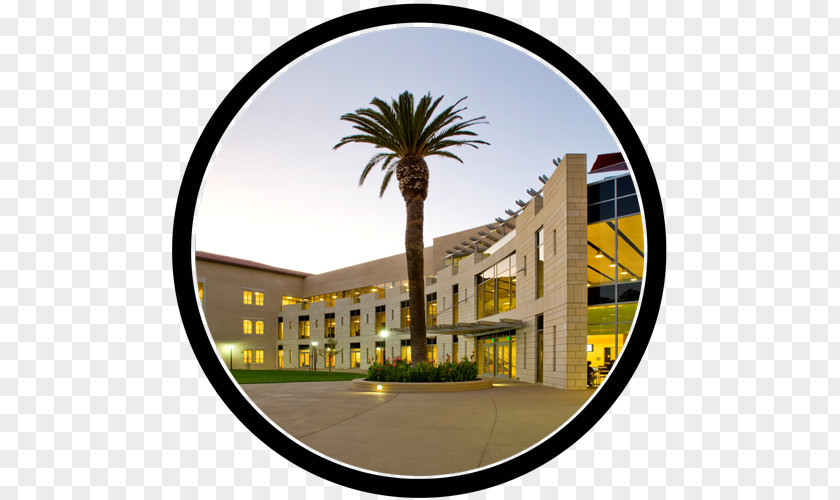 School Santa Clara University SCU Leavey Of Business California, Barbara Babson College PNG
