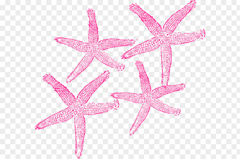 Starfish Clip Art Openclipart Image Free Content PNG