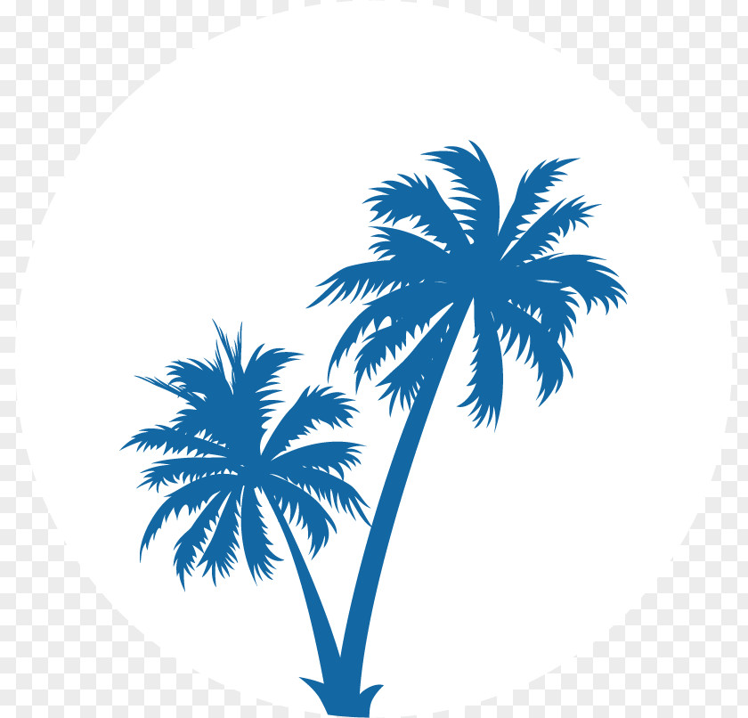 Tree Palm Trees Clip Art Vector Graphics Silhouette PNG
