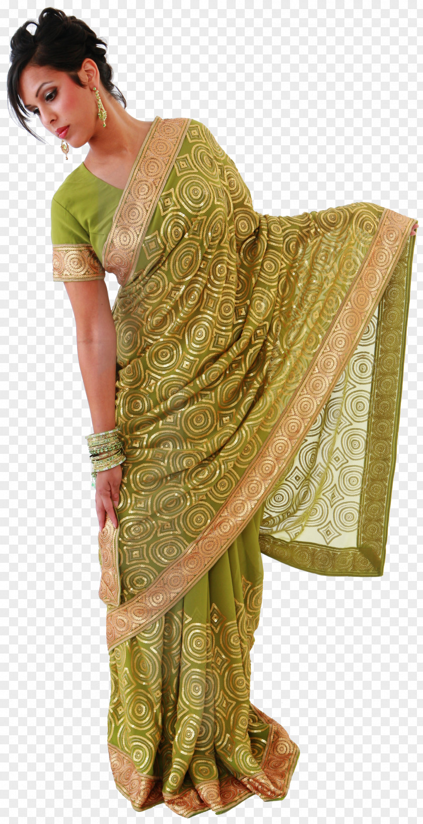 Actor Sari Silk PNG