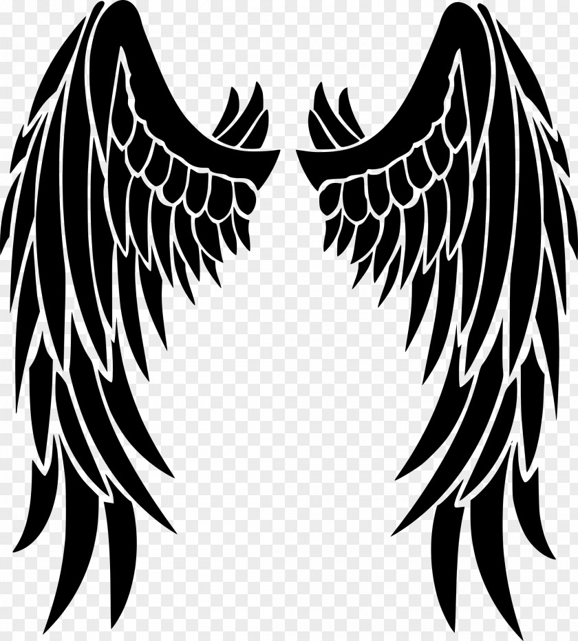 Angel Wings Hd AutoCAD DXF Clip Art PNG