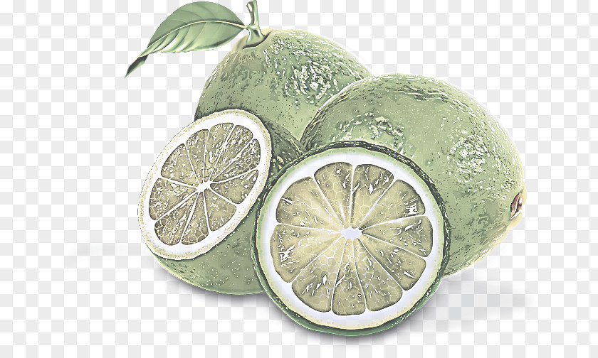 Citric Acid Food Citrus Lemon Fruit Lime Persian PNG